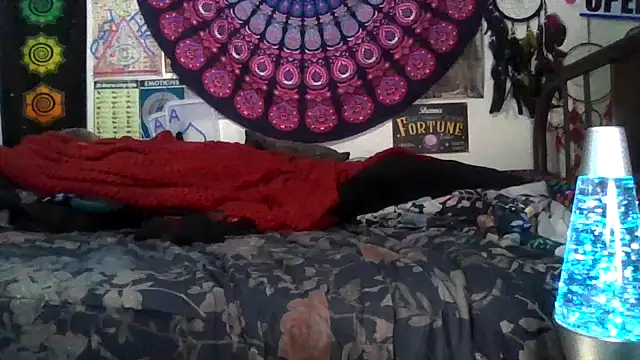 GardeniaFields online show from February 2026 04:50:02 AM