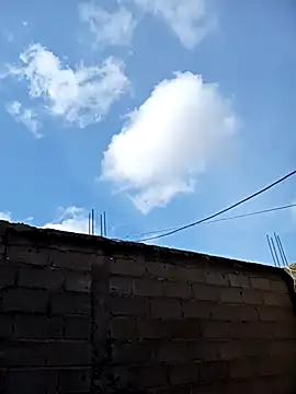 Sexi girl29 online show from February 2026 01:03:02 PM