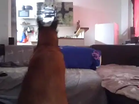 ThePython666 online show from March 2026 03:34:01 PM