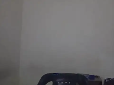 Snapshot of Visculi chatting on December 2025 08:46:01 PM Visculi online show from December 2025 08:46:01 PM