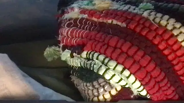 twink69Finger online show from March 2026 12:49:01 PM