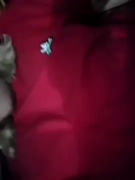 Snapshot of VictoriaLuxe chatting on November 2025 08:42:02 PM VictoriaLuxe online show from November 2025 08:42:02 PM