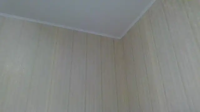  Black-Panther  online show from October 2025 12:03:02 PM