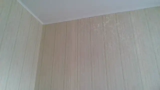  Black-Panther  online show from February 2026 09:58:02 AM