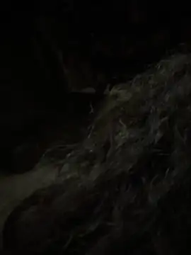 Snapshot of aa520uv chatting on February 2026 12:43:02 PM aa520uv online show from February 2026 12:43:02 PM