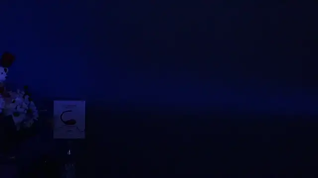 Snapshot of Amesthyst_destiny chatting on March 2025 03:20:01 AM Amesthyst destiny online show from March 2025 03:20:01 AM