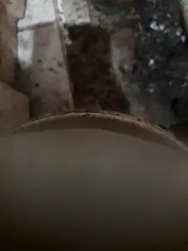 Snapshot of Agusdsm chatting on April 2026 09:05:01 AM Agusdsm online show from April 2026 09:05:01 AM