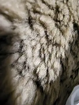 ikeike-kun online show from December 2025 01:33:02 AM