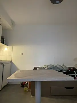 Renoirmonter online show from January 2026 09:14:01 AM