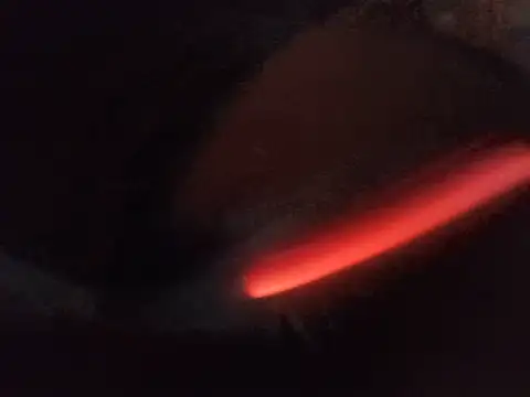 DawidSpandel online show from May 2026 01:56:01 AM