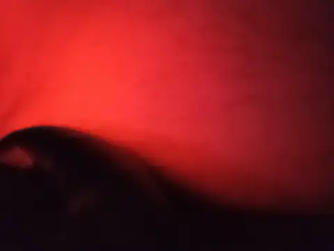 DawidSpandel online show from May 2026 04:47:01 PM