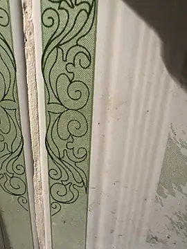 Snapshot of dilu98 chatting on March 2025 01:42:02 PM dilu98 online show from March 2025 01:42:02 PM