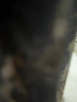 Snapshot of dilu98 chatting on February 2026 02:01:02 AM dilu98 online show from February 2026 02:01:02 AM