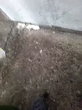 Angel dos019 online show from March 2026 01:37:01 PM