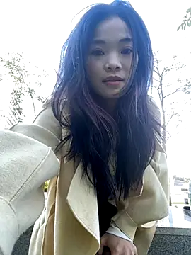 AiBanana online show from November 2025 08:28:01 AM