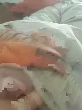 Snapshot of perplexedsoul chatting on February 2026 06:12:02 AM perplexedsoul online show from February 2026 06:12:02 AM