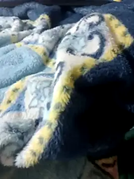 Snapshot of luuiss12 chatting on January 2026 08:14:01 PM luuiss12 online show from January 2026 08:14:01 PM