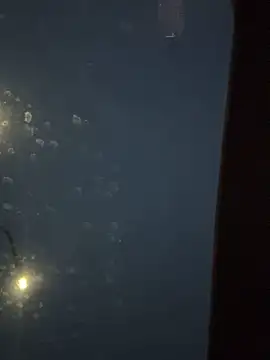 Snapshot of Eriksson00 chatting on December 2025 07:48:01 AM Eriksson00 online show from December 2025 07:48:01 AM