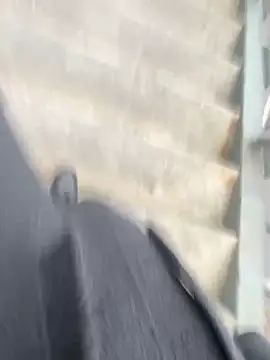 xiaoyuan01 online show from March 2026 12:49:02 AM