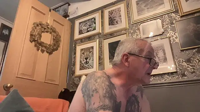 Snapshot of poggles chatting on November 2025 12:41:02 PM poggles online show from November 2025 12:41:02 PM