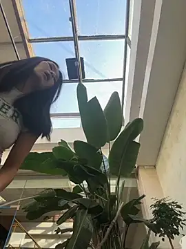 Snapshot of Ninazhang chatting on November 2025 01:38:01 AM Ninazhang online show from November 2025 01:38:01 AM