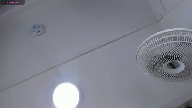 VICTORIAGRAYS online show from October 2025 11:09:02 AM