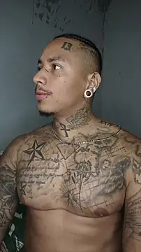 David tatto1 online show from March 2026 03:02:01 AM