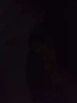 Sexxoophone online show from July 2026 03:35:02 AM