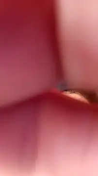 Snapshot of Fox_Roxxan chatting on September 2025 06:32:02 PM Fox Roxxan online show from September 2025 06:32:02 PM