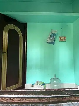 kabaddiboy online show from March 2026 04:51:02 AM