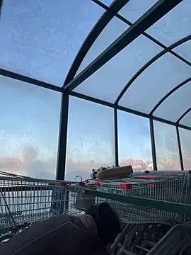 Snapshot of MiraReach chatting on October 2025 04:34:01 AM MiraReach online show from October 2025 04:34:01 AM