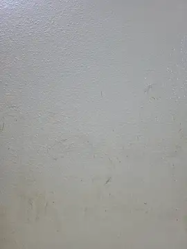 Snapshot of titooritax chatting on November 2025 11:29:01 PM titooritax online show from November 2025 11:29:01 PM