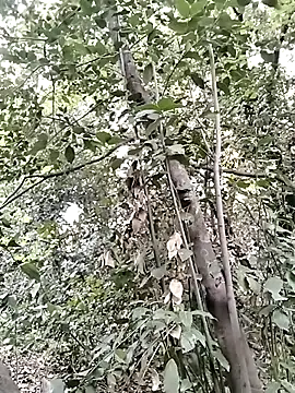 KalendaXL online show from April 2026 04:15:02 PM