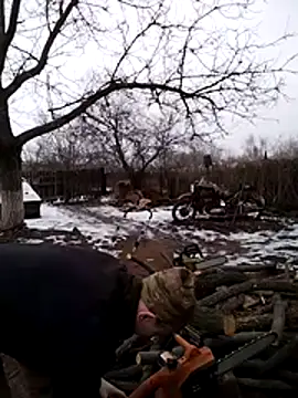 Alexilon online show from February 2026 01:19:02 PM