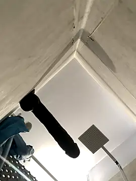 BobKat online show from November 2025 08:55:01 AM