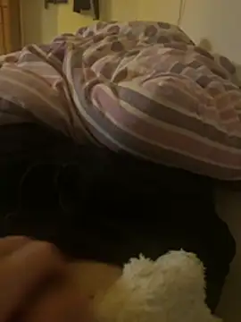 darksagax1 online show from February 2026 12:41:02 AM