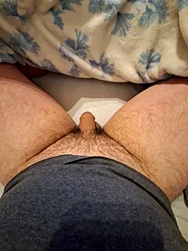 Pegasus9 online show from March 2026 09:17:02 AM