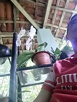 Snapshot of Boragozarvem chatting on October 2025 02:58:02 PM Boragozarvem online show from October 2025 02:58:02 PM