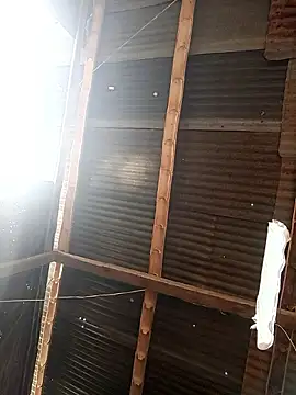 Davir2001 online show from February 2026 01:44:01 PM