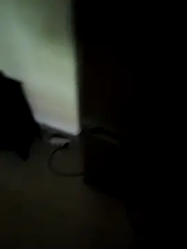 Snapshot of ARTANIS20 chatting on October 2025 10:49:02 AM ARTANIS20 online show from October 2025 10:49:02 AM