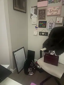 Snapshot of Juicystorm chatting on February 2026 01:10:02 AM Juicystorm online show from February 2026 01:10:02 AM