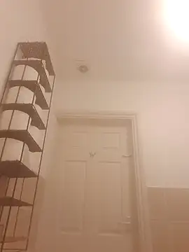 Snapshot of blueeyesss chatting on February 2026 09:52:01 AM blueeyesss online show from February 2026 09:52:01 AM