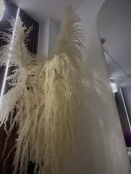 Anita-vega online show from December 2025 09:11:02 PM