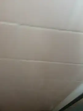 Guero661 online show from September 2025 05:04:02 PM