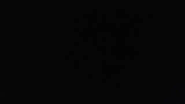 Snapshot of sacoa chatting on November 2025 02:50:02 PM sacoa online show from November 2025 02:50:02 PM