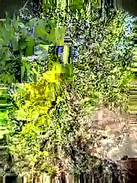 Snapshot of Desi_Horny_Boys chatting on May 2026 03:12:01 AM Desi Horny Boys online show from May 2026 03:12:01 AM