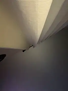 Snapshot of curis4270panda chatting on September 2025 03:17:02 AM curis4270panda online show from September 2025 03:17:02 AM