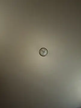 Snapshot of curis4270panda chatting on October 2025 08:42:01 PM curis4270panda online show from October 2025 08:42:01 PM