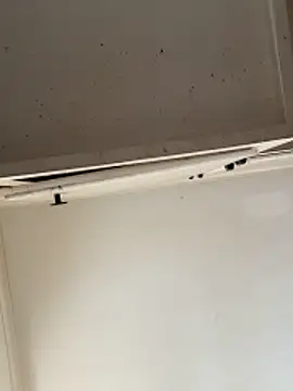 Snapshot of curis4270panda chatting on February 2026 07:54:01 PM curis4270panda online show from February 2026 07:54:01 PM