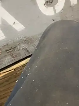 Snapshot of curis4270panda chatting on February 2026 08:05:01 PM curis4270panda online show from February 2026 08:05:01 PM